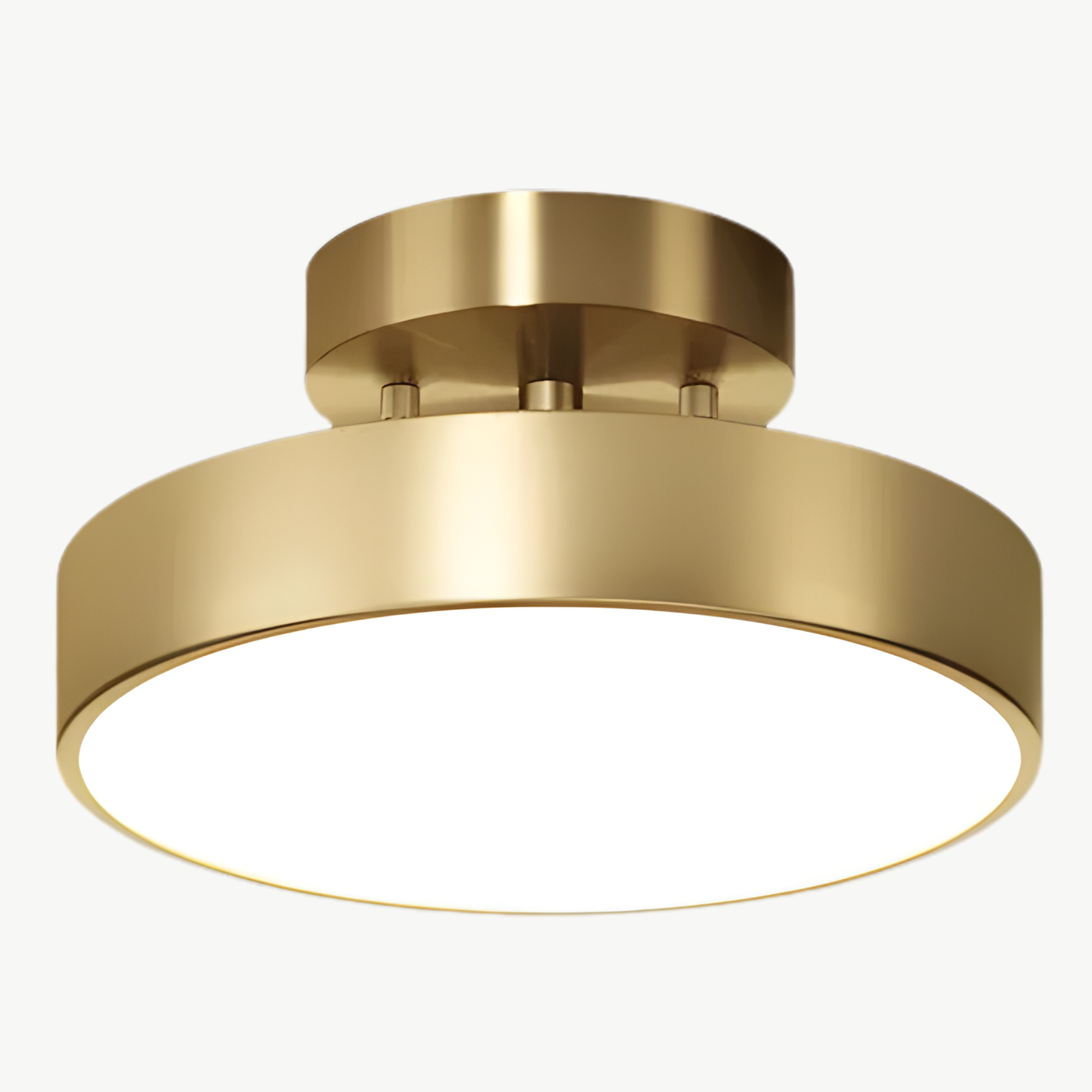 Adjustable Spot LED Ceiling Light