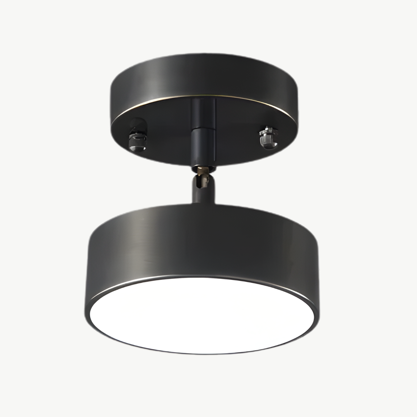 Adjustable Spot LED Ceiling Light