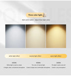 DARHYN - Oval Pendant Light Chandelier