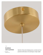 DARHYN - Oval Pendant Light Chandelier