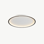 Shallow Bowl LED Ceiling Light