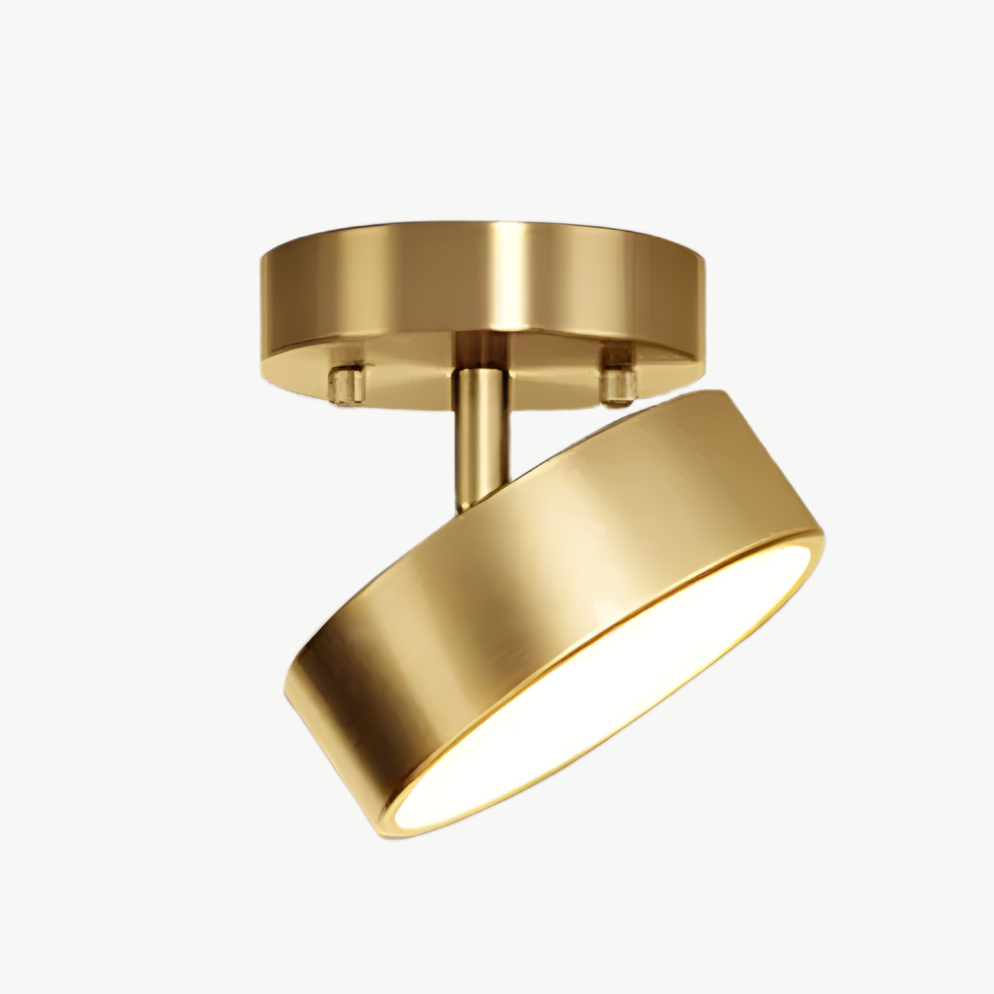 Adjustable Spot LED Ceiling Light