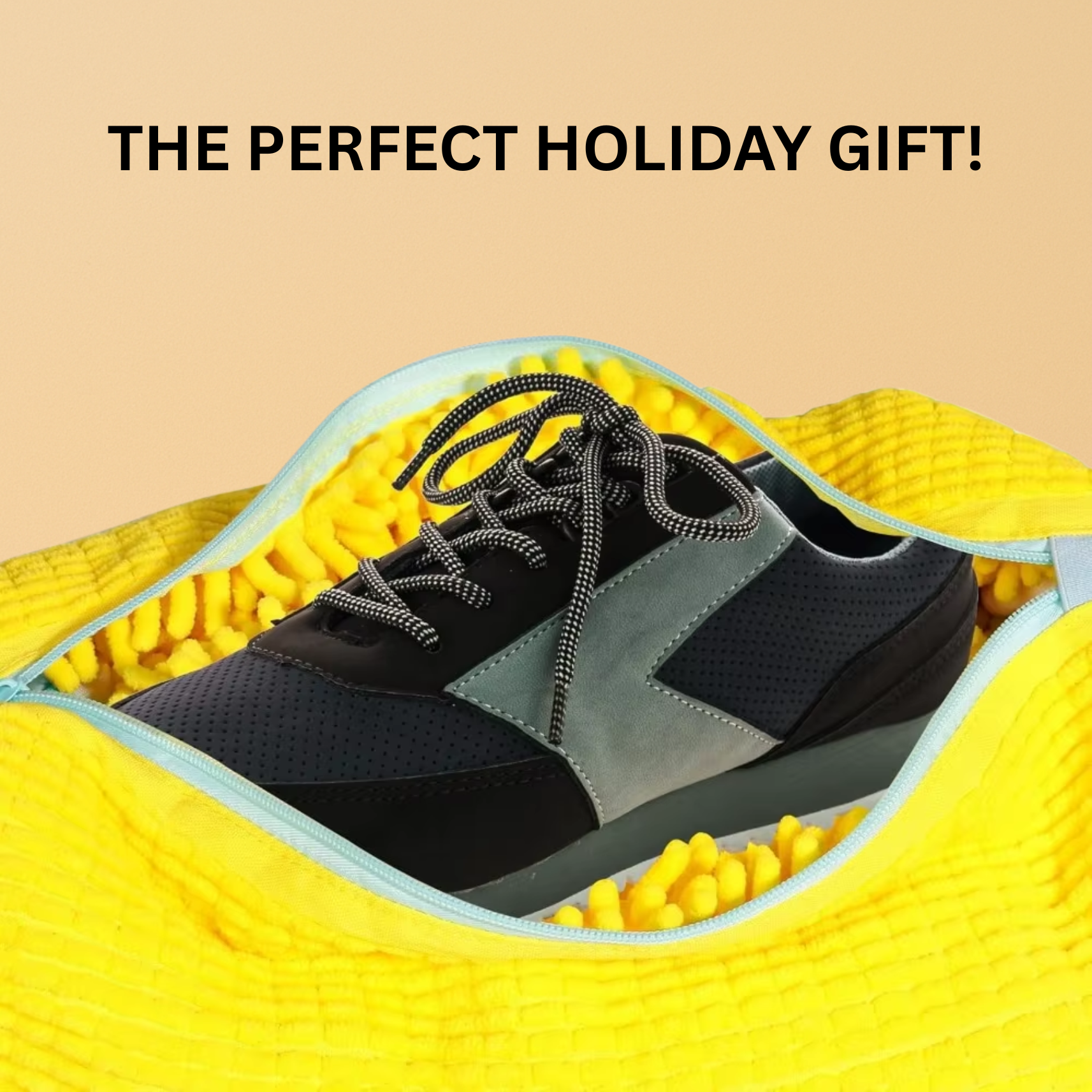 🧼 Shoe Cleaning Bag