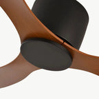 Low-Profile Ceiling Fan