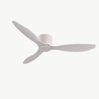 Low-Profile Ceiling Fan