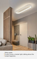 DARHYN - Modern LED Ceiling Light Oval Black