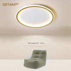 Shallow Bowl LED Ceiling Light