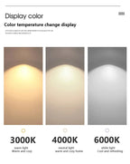 DARHYN - Modern LED Oval Overhead Pendant Light