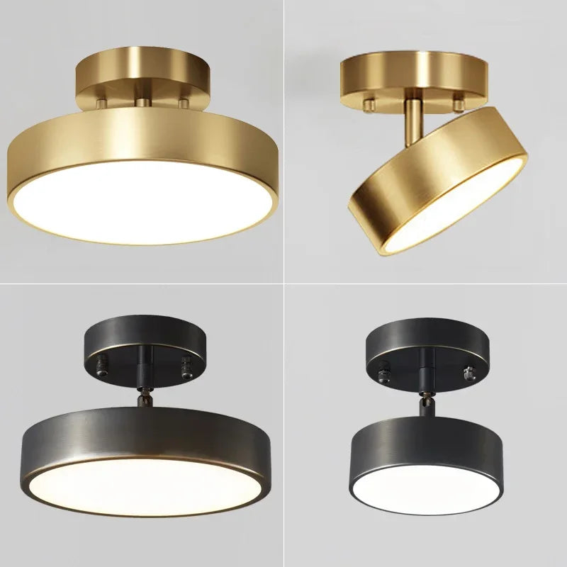 Adjustable Spot LED Ceiling Light