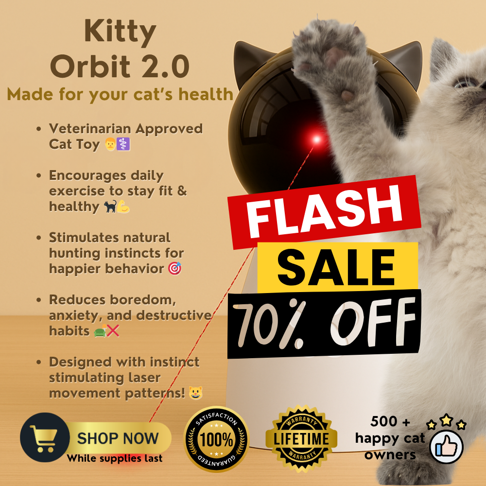 🐾 The Kitty Orbit Laser Toy 2.0✨